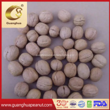 Delicious and Healthy Walnut in Shell with Good Taste